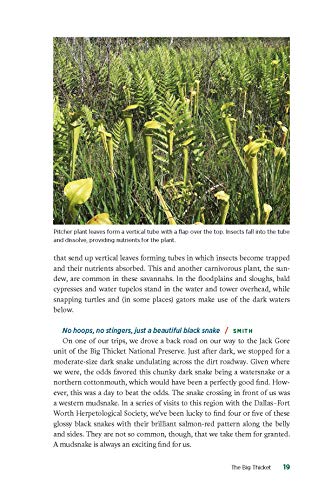 image for Texas A&M University Press Herping Texas: The Quest for Reptiles and A