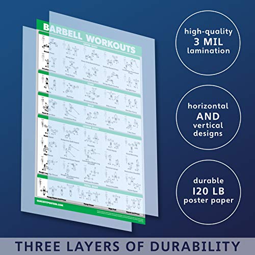 QuickFit Barbell Workout Exercise Poster - (Laminated, 18