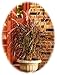 Bloem GU180-10 Grecian Urn, 18-Inch, White, 32