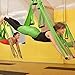 Amzdeal Aerial Yoga Flying Yoga Swing Trapeze Aerial Hammock Sling Inversion Tool for Gym Home Fitness Exercise Green