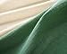 TORTOISE Japanese Cotton Noren Curtain Long Type Beige/Green