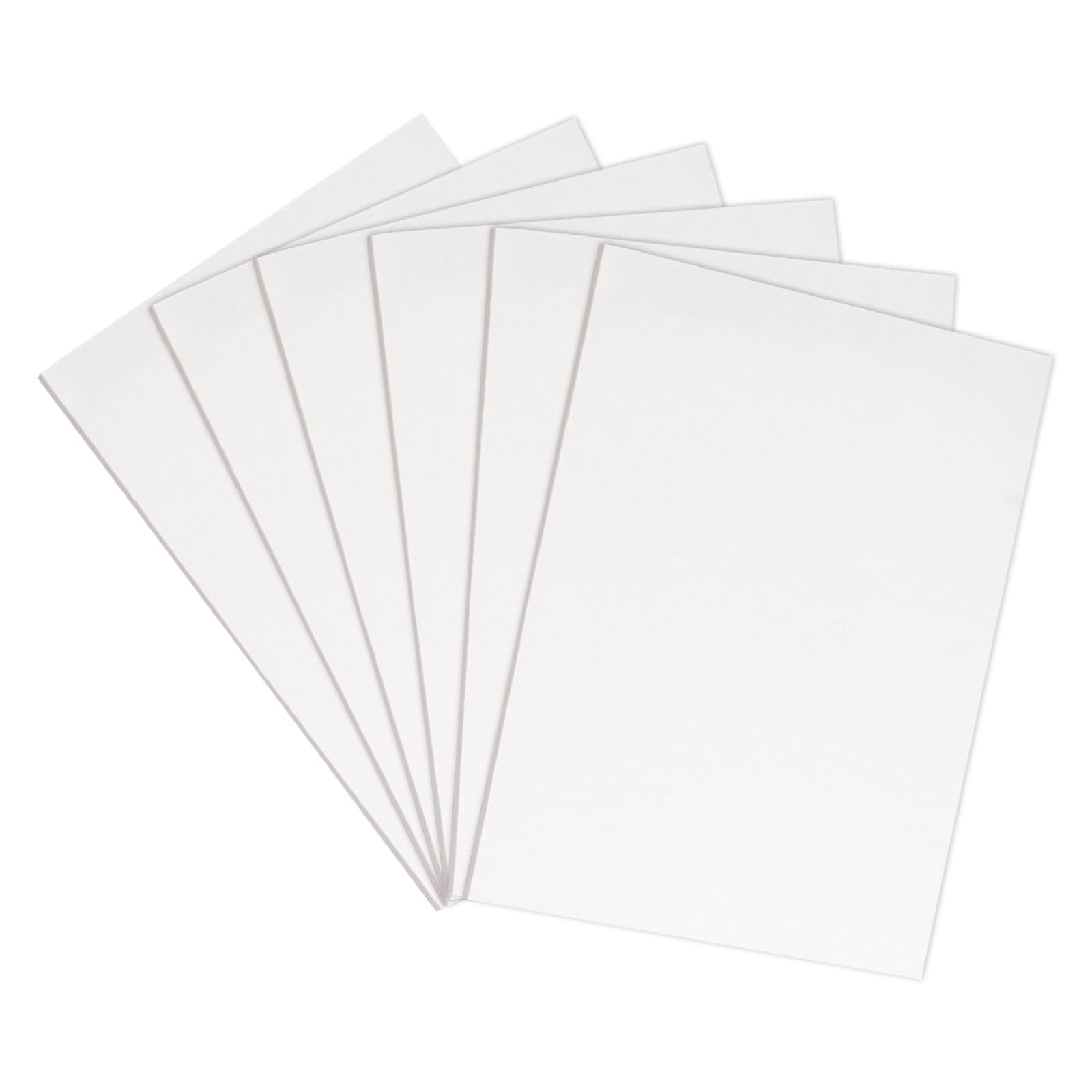 WANDIC Flower Pressing Accessories, 6 Sheets Drying Plates Replacement Dried Flower Leaf Plant Fruit Pressing Replacements for DIY Art Handicrafts Specimens Outdoor Learning