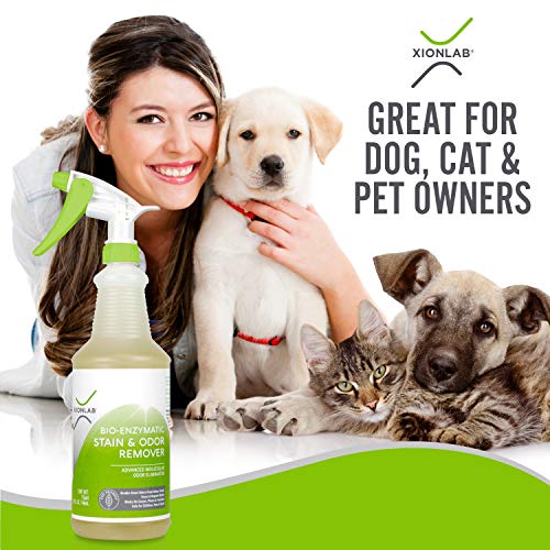 strong pet odor remover