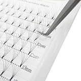 Russian Volume Premade Fans Eyelashes Extension 5D 6D Thickness 0.07/0.10 Curl C/D Length 8-15mm by Quewel(5D-0.07-D, 10mm)