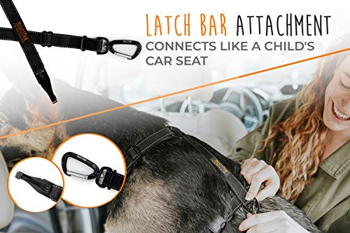 2 Mighty+Paw+Attachment+Tangle+Free+Adjustable