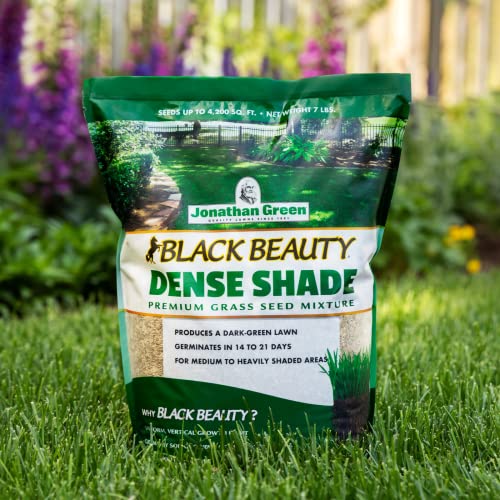 Jonathan Green (10610) Black Beauty Dense Shade Grass Seed Cool