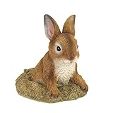 Home Locomotion Curious Bunny Garden Decor (Lawn &amp; Patio)