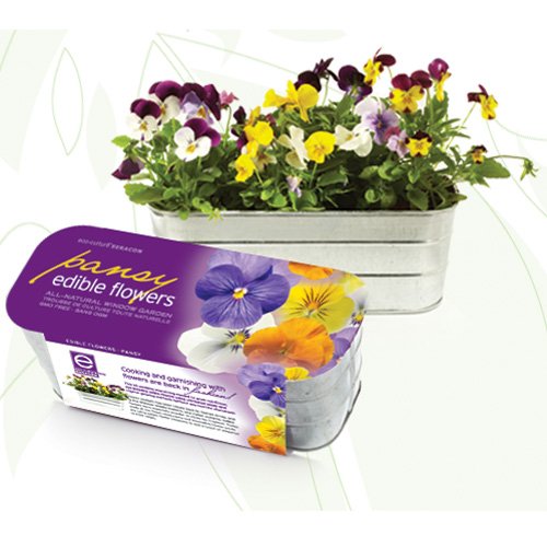 Featured product