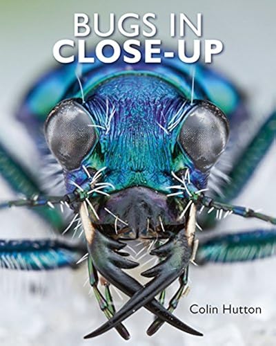 Download Bugs in Close-Up PDF
