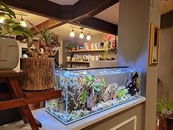 6 Gallon Low Iron Glass Bookshelf Aquarium 5mm