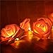 INST 10 LED Pink Rose Flower Fairy Lights