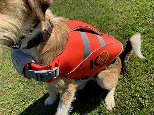 K9 AquaFloat (Small, Orange), Professional Dog Life Jackets (Buoyancy Aid), For Regular Use In Pools And For Having Fun On The Water – Reflective, Handle & Lead Ring