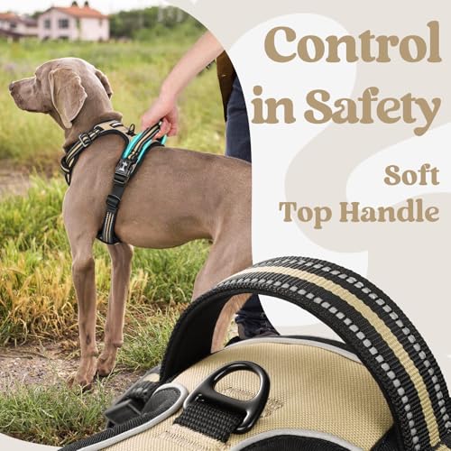 rabbitgoo Medium Dog Harness with 3 Buckles, Neck Release, Adjustable Dog Harness with Handle and Front Clip, Reflective Anti-Pull Harness for Dogs Training Running, Brown, L