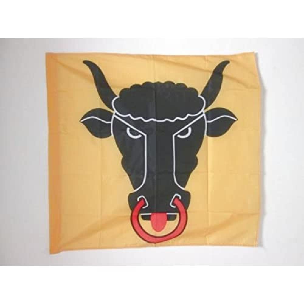 AZ FLAG - Canton of Uri Flag - 3x3 Ft - 100% Polyester Uri - UR Banner with Sleeve - Fade Resistant - Vivid Colors - 3' x 3' Feet - 90x90 Cm