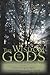 The Wisdom of the Gods: Creating Consciously in a Conscious World by Betsy Jo Miller