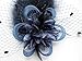 Cizoe Women's Fascinators Hat Hair Clip Feather Wedding Headware Bridal 1920s Headpiece(1-d.Blue)