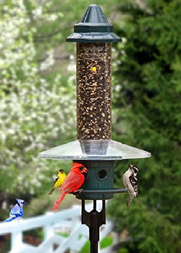 Brome Squirrel Buster Plus Squirrel Proof Bird Feeder with Pole and WeatherGuard Baffle