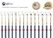AIT Art Paint Brush Set - 14 Paint Brushes - Rounds, Flats, Angle Shaders, and Filberts - Handmade in USA for Trusted Performance with Oil, Acrylic, and Watercolor