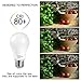 A19 LED Light Bulbs 5000K, 100 Watt Equivalent LED Bulb Daylight White, 1100Lumens, Non Dimmable, Medium Screw Base (E26), CRI80+, 12-Pack