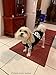 Idepet Soft Cotton Adidog Cloth for Dog, XL, Black