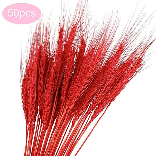 Natural Dried Natural Wheat Sheaves,Wheat Stalk Bundle Decorative Wheat Bouquet for Flower Arranging Photograph Props Wedding Decoration
