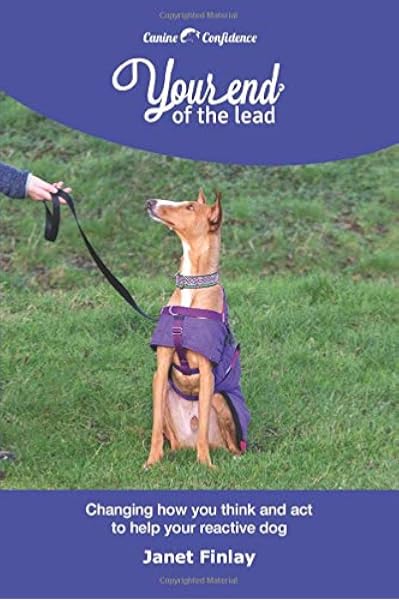 dog reactive on lead