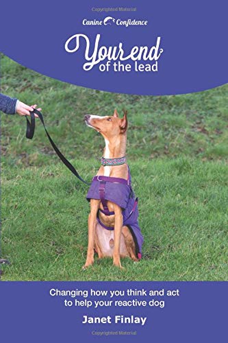 reactive dog on lead