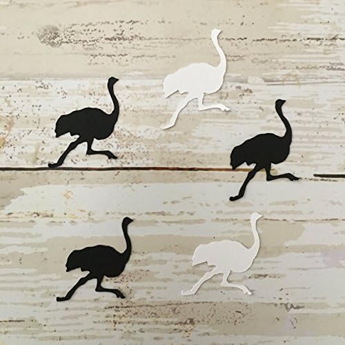 Ostrich Confetti, Bird Decorations, Bird Party Supplies, Spring Theme, Bird Theme, Table Scatter, Bird Cut Out