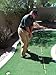 Golfnsticks 