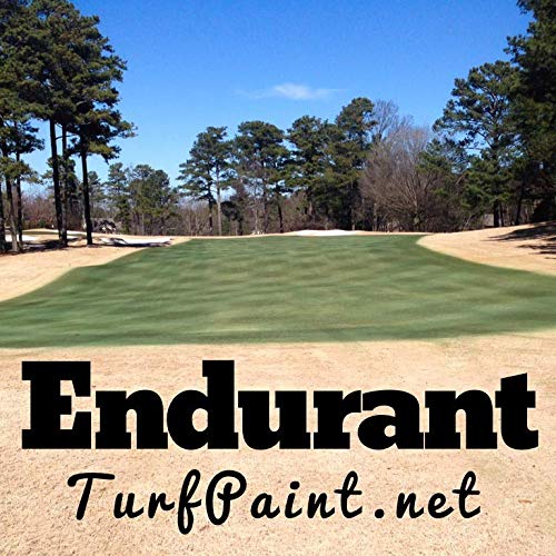 Endurant Turf Colorant 1 Gallon Jug Revitalizes Approximately 5,000
