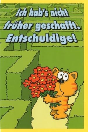 Biglietto D Auguri Di Compleanno In Ritardo Carta Humor Ich Hab Es Non Frueher Geschafft C6 Amazon It Casa E Cucina