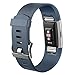 For Fitbit Charge 2 Bands, Hotodeal Replacement Wristbands Soft Silicone Accessory Strap for Fitbit Charge2 HR Tracker, Buckle, 12 Colors, Small Slate