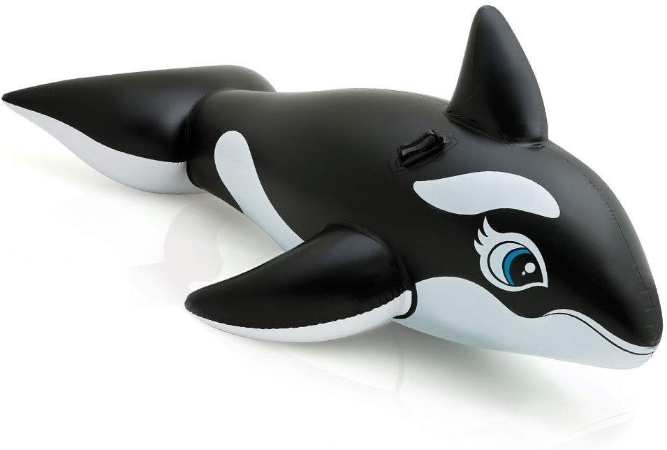 whale floatie