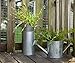Hosley Galvanized Pitcher 14 Inch High Decorative Use Ideal Gift for Floral Arrangements Weddings Spa Flower Arrangements O3