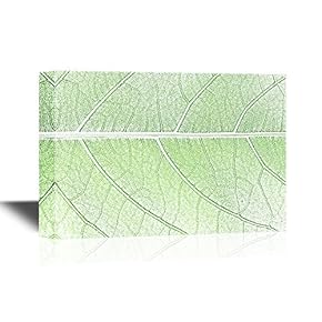 Canvas Wall Art - Leaf of a Plant Close Up - Gallery Wrap Modern Home Art | Ready to Hang - 12x18 inches