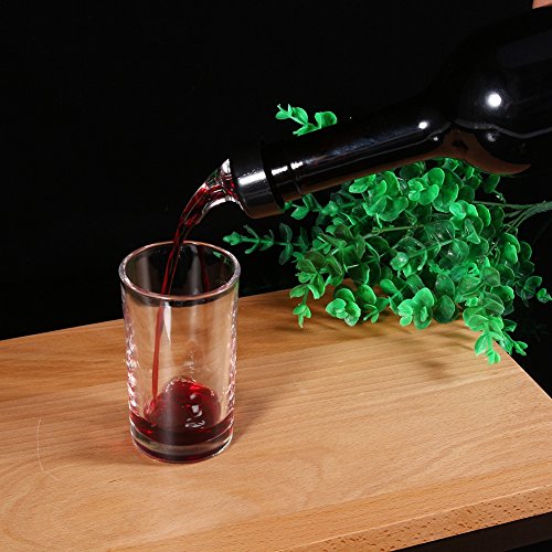Automatic Measure Liquor Pourers, Plastic Measured Liquor Spirit Pourer Free Flow Wine Bottle Pour Spout Stopper Transparent for Home Bar (Transparent, 6)