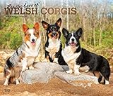 For the Love of Welsh Corgis 2020 14 x 12 Inch Monthly Deluxe Wall Calendar with Foil Stamped Cover, by 