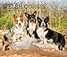 For the Love of Welsh Corgis 2020 14 x 12 Inch Monthly Deluxe Wall Calendar with Foil Stamped Cover, by 