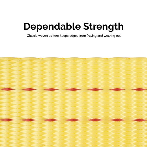 NEIKO Tow Strap 2"x20" - Image 4