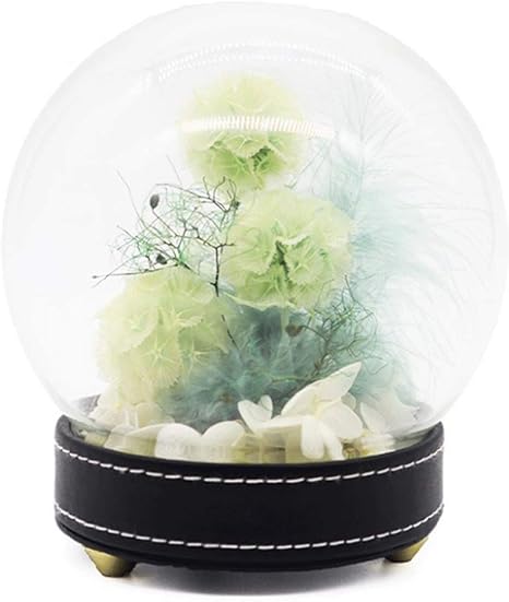 Amazon Com Cll 永生永生玫瑰 周年纪念日或生日那天 手工制作的8英寸圆形黑匣子花无水需要永恒的最佳家居装饰 Home Kitchen