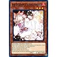 Yu-Gi-Oh! - Ash Blossom & Joyous Spring - SDSB-EN019 - Common - 1st Edition - Structure Deck: Soulburner