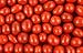 CrazyOutlet Boston Baked Beans Candy Coated Peanuts, Fresh Bulk Pack, 2 Lbs