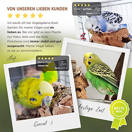 2 x Piksteen van Kurk - Het Smakelijke Alternatief voor de Kalksteen voor Vogels of Sepiaschelp, Parkieten Speelgoed - Afbeelding 6