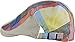 Women Men's Cotton Flat Cap Hat Newsboy Hunting Hat Cabbie Gatsby Cap