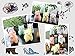 Alpacasso 6.7