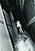 Daido Moriyama