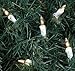 Novelty Lights 10 Light Clear Christmas Craft Mini Light Set, Non-Connectable, White Wire, 5.5' Long