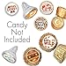 Safari Sunday School Stickers for Kids - 1,080 ct