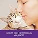 Wellness Kittles Crunchy Natural Grain Free Cat Treats, Salmon & Cranberries, 2-Ounce Bag