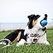 Pet Qwerks Talking Babble Ball - Interactive Chew Dog Toy - Medium